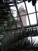 Pałac w Mosznej